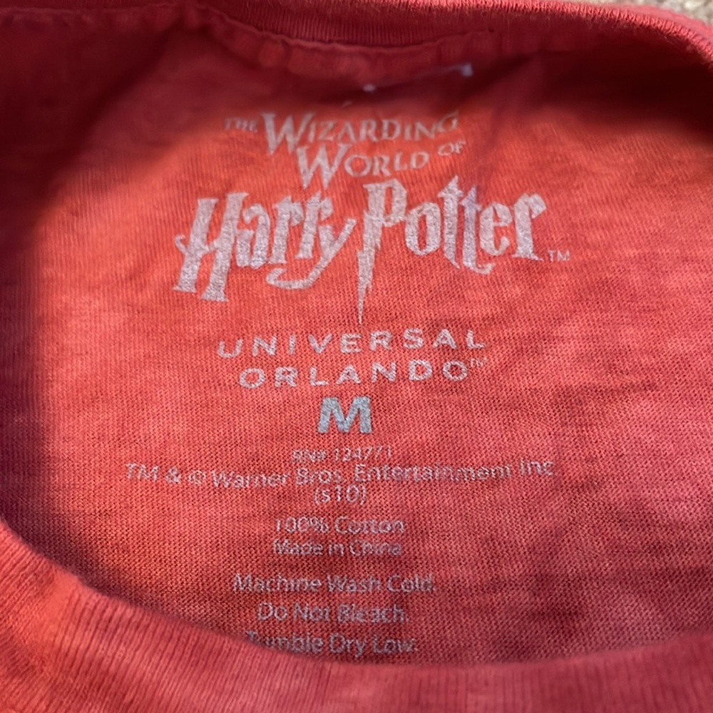 Gryffindor! 🪄🧙‍♂️🦉 - Picture 3 of 4